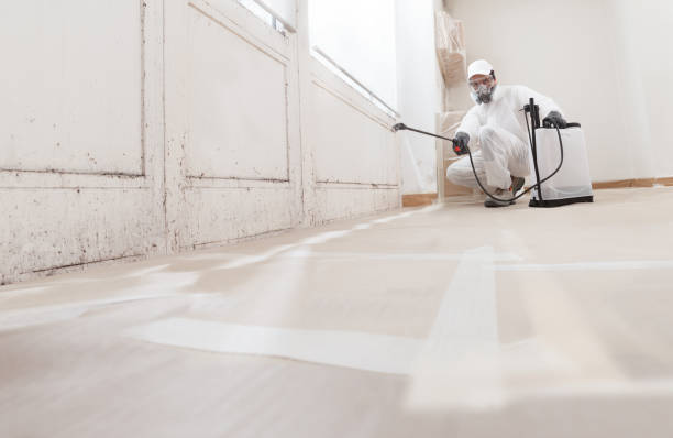 24/7 Emergency Commercial Mold Remediation experts in Bloomington, IL