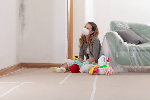 Reliable Commercial Mold Remediation contractor in Bloomington, IL by WQB Mold Removal